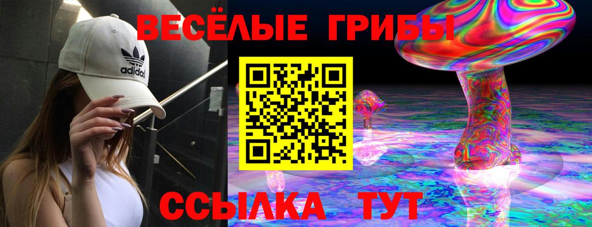 Галлюциногенные грибы Psilocybine cubensis  Вход с VPN  Псилоцибиновые грибы Magic Shrooms  Белово 